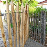 Proline Staketenzaun Kastanie 100 cm hoch, 1m-Schnittware...