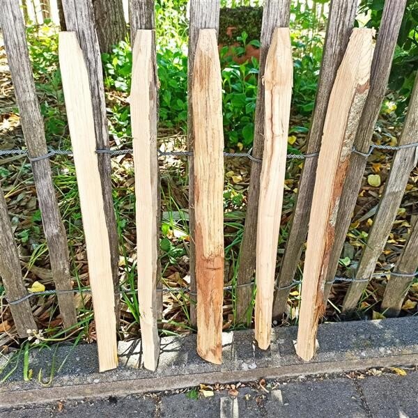Kastanie Stakete 50 cm hoch