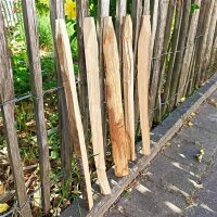 Kastanie Stakete 50 cm hoch