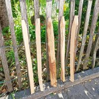 Kastanie Stakete 50 cm hoch