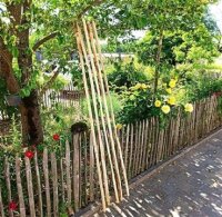 Kastanie Stakete 200 cm hoch