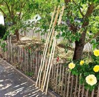 Kastanie Stakete 200 cm hoch