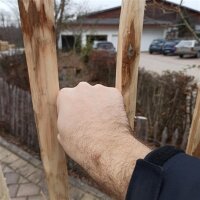 Proline Staketenzaun Kastanie 175 cm hoch, 5 m, Lattabstand ca 8-10cm