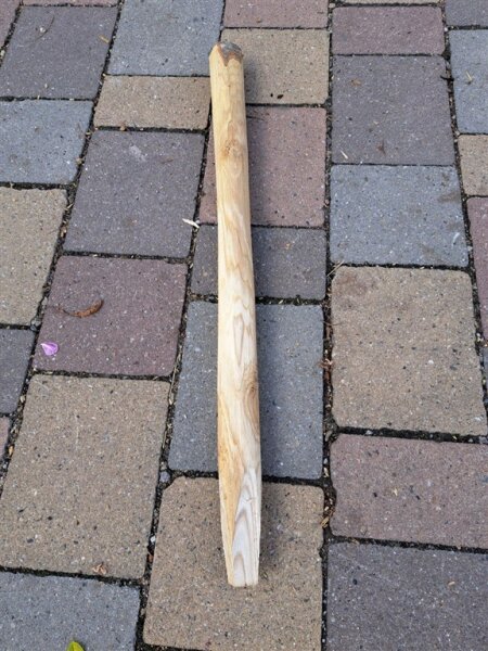 Restposten Zaunpfahl Kastanie Höhe 70cm, Durchmesser 3-6cm, mit Spitze