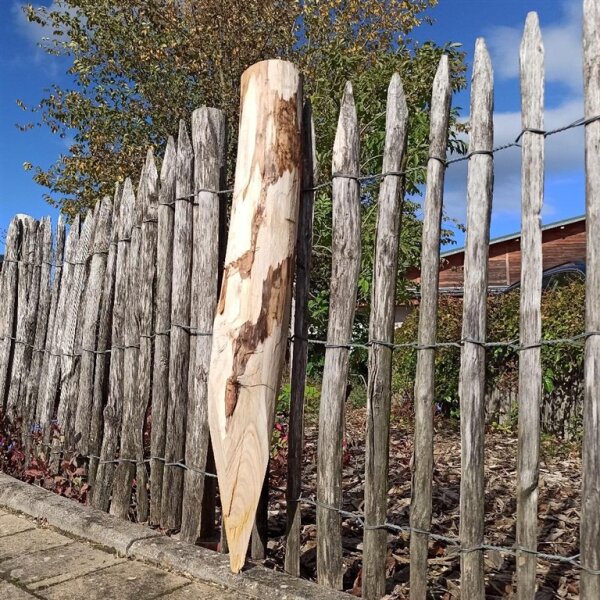 Zaunpfahl Kastanie Höhe 80 cm rund zu Zaun Höhe 40 cm Durchmesser ca 8-10cm mit Spitze