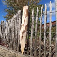 Zaunpfahl Kastanie Höhe 80 cm rund zu Zaun Höhe...