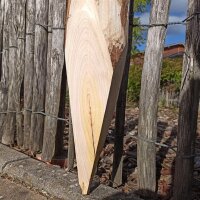 Zaunpfahl Kastanie Höhe 80 cm rund zu Zaun Höhe 40 cm Durchmesser ca 8-10cm mit Spitze