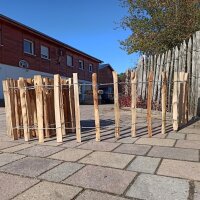 Proline Staketenzaun Kastanie 40 cm hoch, 10m-Rolle,...