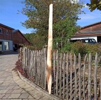Spaltpfahl Kastanie Höhe 160cm, Umfang 26/32, mit Spitze, angegraut