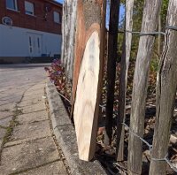 Spaltpfahl Kastanie Höhe 160cm, Umfang 26/32, mit Spitze, angegraut