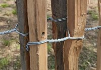 Schrauben Edelstahl Tx 5x60 100 Stück Terrassenschrauben selbstbohrend