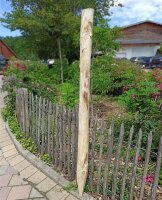 Zaunpfahl Kastanie Höhe 150 cm rund zu Zaun...