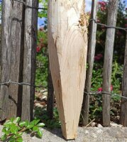 Zaunpfahl Kastanie Höhe 150 cm rund zu Zaun Höhe 100 cm Durchmesser ca 8-10cm mit Spitze