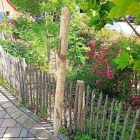 Zaunpfahl Kastanie Höhe 150 cm rund zu Zaun Höhe 100 cm Durchmesser ca 8-10cm mit Spitze