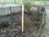 Zaunpfahl Kastanie Höhe 150 cm rund zu Zaun Höhe 100 cm Durchmesser ca 6-8cm mit Spitze