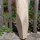 Zaunpfahl Kastanie Höhe 100 cm rund zu Zaun Höhe 50-60 cm Durchmesser ca 5-7cm mit Spitze