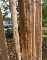Proline Staketenzaun Kastanie 200 cm hoch, 5m Länge, Lattabstand ca 2-4cm