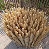 Proline Staketenzaun Kastanie 100 cm hoch, 10m Länge, Lattabstand ca 2-4cm