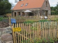 Kastanie Stakete 150 cm hoch
