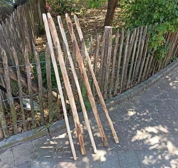 Kastanie Stakete 120 cm hoch