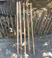 Kastanie Stakete 120 cm hoch