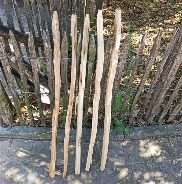 Kastanie Stakete 100 cm hoch