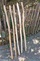 Kastanie Stakete 100 cm hoch