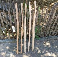 Kastanie Stakete 100 cm hoch