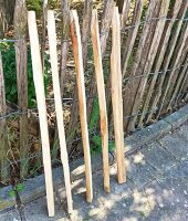 Kastanie Stakete 80 cm hoch