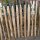 Proline Staketenzaun Kastanie 60 cm hoch, Schnittware 1-9m, Lattabstand ca 2-4cm