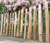 Proline Staketenzaun Kastanie 40 cm hoch, 1m-Schnittware...
