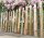 Proline Staketenzaun Kastanie 40 cm hoch, 1m-Schnittware 1-9m, Lattabstand ca 2-4cm