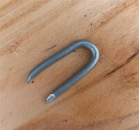Krampen o. Schlaufen 3,1x31 250 Stück