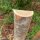 Querriegel 140cm aus Kastanie, halbiertes Rundholz, ungeschliffen, roh