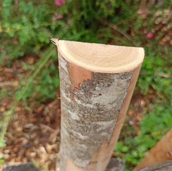 Querriegel 110cm aus Kastanie, halbiertes Rundholz, ungeschliffen, roh