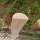 Querriegel 90cm aus Kastanie, halbiertes Rundholz, ungeschliffen, roh