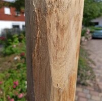 Rundholz Kastanie Höhe 175 cm Durchmesser ca 8cm