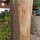 Rundholz Kastanie Höhe 175 cm Durchmesser ca 8cm