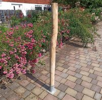 Rundholz Kastanie Höhe 150 cm Durchmesser ca 8cm