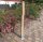 Rundholz Kastanie Höhe 150 cm Durchmesser ca 8cm