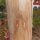Rundholz Kastanie Höhe 150 cm Durchmesser ca 8cm