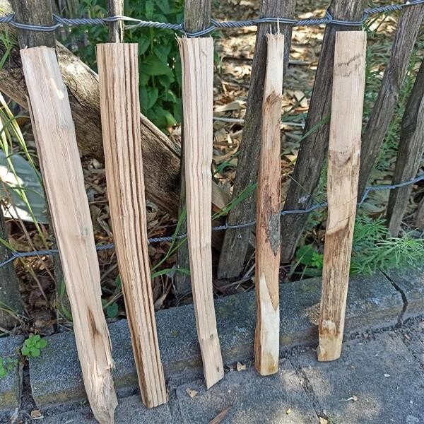 Kastanie Stakete 40 cm hoch