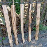 Kastanie Stakete 40 cm hoch