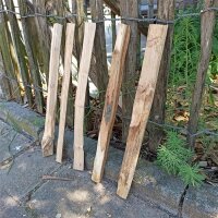 Kastanie Stakete 40 cm hoch