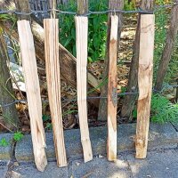 Kastanie Stakete 40 cm hoch